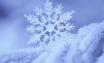 冰墩墩NFT遇冷，价格跌80%，日成交仅3笔