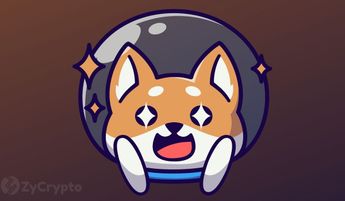 Shiba Inu Looks To Assert Dominance With Metaverse Plans, But Is It Enough For SHIB To Survive 2022?
