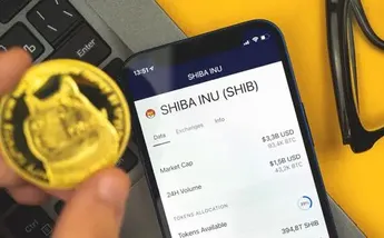 Shina Inu Introduces 'SHIB: The Metaverse' With Over 100K Land Plots