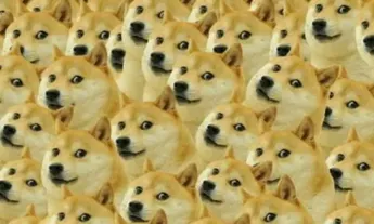 Shiba Inu and Dogecoin Now Accepted by Vancouver-Based Meat Company Through BitPay