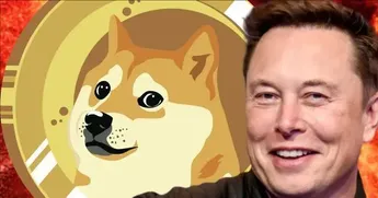 Elon Musk Shares DOGE Video That “Explains Everything”