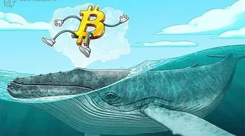 Bitcoin Whales Are Increasingly Preferring OTC Deals Over Exchanges