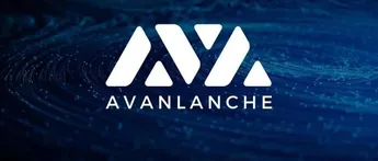 Terra与Avalanche两大创始人对话：平行宇宙的交汇