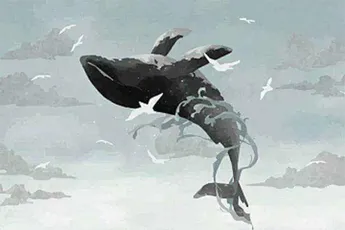 除巨鲸外，还有哪些类型的 NFT 持有者潜入海底？