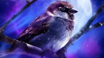 突然爆火，Moonbirds真的可以吗？