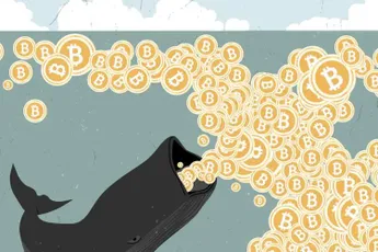 Mysterious Bitcoin Whale Acquires More Than $71,000,000 in BTC in Just One Week
