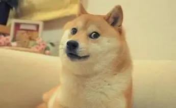 Dogecoin Displays A Falling Wedge Pattern; Here’s What It Means