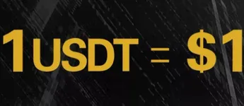 Solana生态算法稳定币项目Nirvana——永不崩盘，但能否成为真正的货币？  