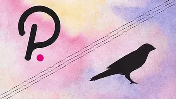 Polkadot 2022 年第 1 季度社区报告