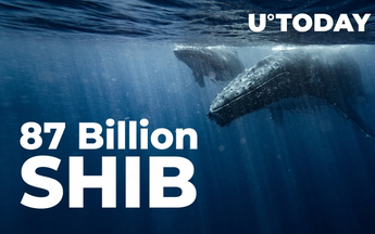Whale Buys 87 Billion SHIB, While Shiba Balance of Top Investors Shrinks