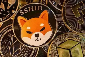 2.5 Billion SHIB Burned in Past 7 Days, While Shiba Surges 14%