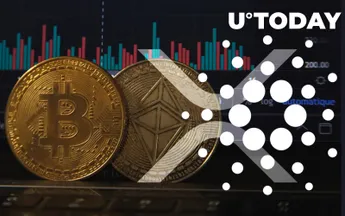 Cardano, XRP Face Institutional Inflows as Investors Draw Funds from Bitcoin and Ethereum