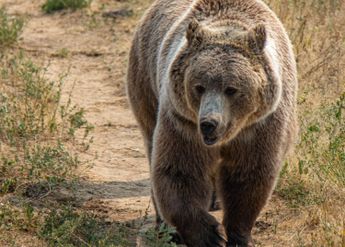 Bitcoin Supply In Loss Reaches 50% As BTC Drops Below $20k