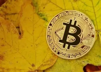 HUOBI WEEKLY REPORT SHIT: A Distinctive Project in the Bear Market