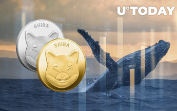 Shiba Inu Remains Largest Token Held by Whales as SHIB Price Rises 15%