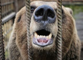 思考:关于熊市期间的11个论点