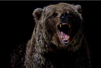 如何避免熊市错误并为下一次加密牛市做好准备