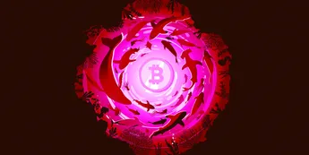 Richest Bitcoin Whale’s BTC Holdings Explode to Over $2,560,000,000 Amid Renewed Accumulation Frenzy