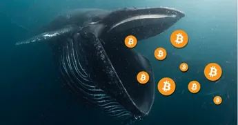 Bitcoin Whale Suddenly Moves Over $300,000,000 in BTC – Here’s Where the Crypto Is Going