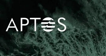 新公链Aptos何以拉满市场期待值？