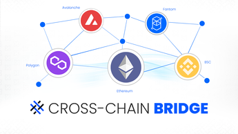 The Foundation of Inter-chain Value Flow: Interpretation of Cross-chain Solutions