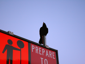 Decoding if Bitcoin is headed for a $32k run in coming days