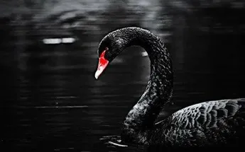 黑天鹅来临？以太坊如何面临历史性审查风险？