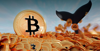 Bitcoin Whales Number Reaches New Local High, and Reason Might Be Simple