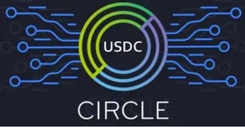 USDC Whale Holdings Percentage Hits A Two-Year Low
