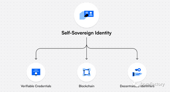 去中心化身份（DID）2022 终极指南