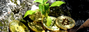 Развенчивая мифы: так ли страшен биткоин для экологии?