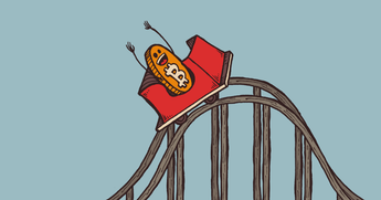 Почему упал BTC и что ждет монету дальше: прогноз биткоина