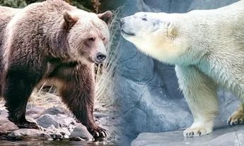 Корреляция криптовалюты с фондовым рынком грозит еще большими потерями