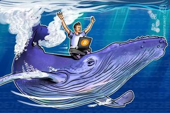 Как биткойн-киты производят фурор на рынках и двигают цены