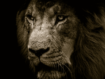 Bitcoin: Merge renders ETH less of a cryptocurrency as per this BTC maximalist