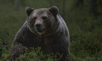 美联储鹰声不断，比特币能否摆脱泥潭？