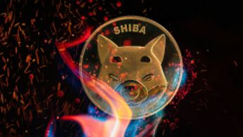 Shiba Inu Burn Rate Reaches Triple Digits, Here's How Much SHIB Was Burned