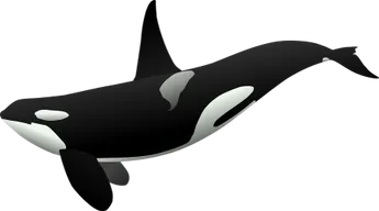 Mysterious Bitcoin Whale Allocated Almost 5,000 BTC Since Mid-September