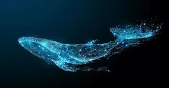 Bitcoin Whale Ratio Surges Up As Leverage Remains High