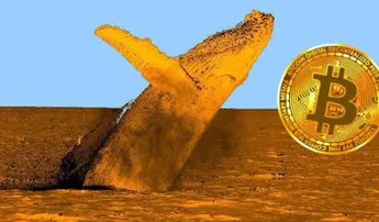 Bitcoin Whales Withdrew 15.7k BTC From Exchanges Recently, Highest Since June