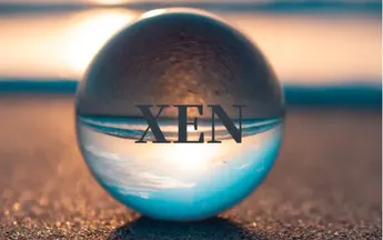 XEN 爆火背后，是“有预谋”的运营还是偶然事件？