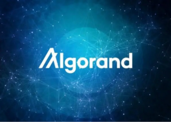 Algorand Social Activity Reaches 13 Million – Time To Buy ALGO?