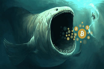 Bitcoin Whale Addresses At A 3-Year Supply Low, Here’s the Details…