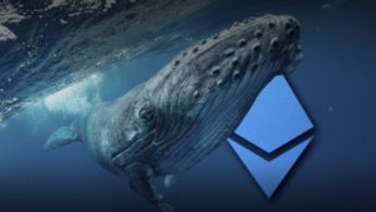 Large Ethereum Whales Add Whopping 3.5 Million ETH to Their Bags