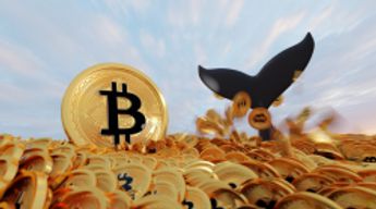 Bitcoin Futures Traders Are Mostly Whales Now, Says Top Analyst