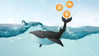 Small Bitcoin investors stop whales from crashing BTC price below $18K