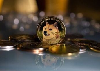 Dogecoin Gains 100K Holders In Just Three Months, Report