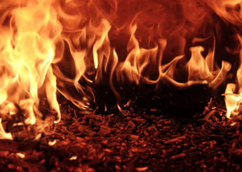 Shiba Inu Burn Rate Spikes By 1,860% – Why Investors Should Take Note Of This