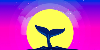 Bitcoin Whale Abruptly Moves Over $123,000,000 in BTC – Here’s Where the Crypto Is Going