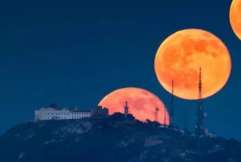Причины, по которым цена Luna упала